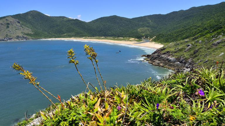 Praias Famosas em Florianópolis