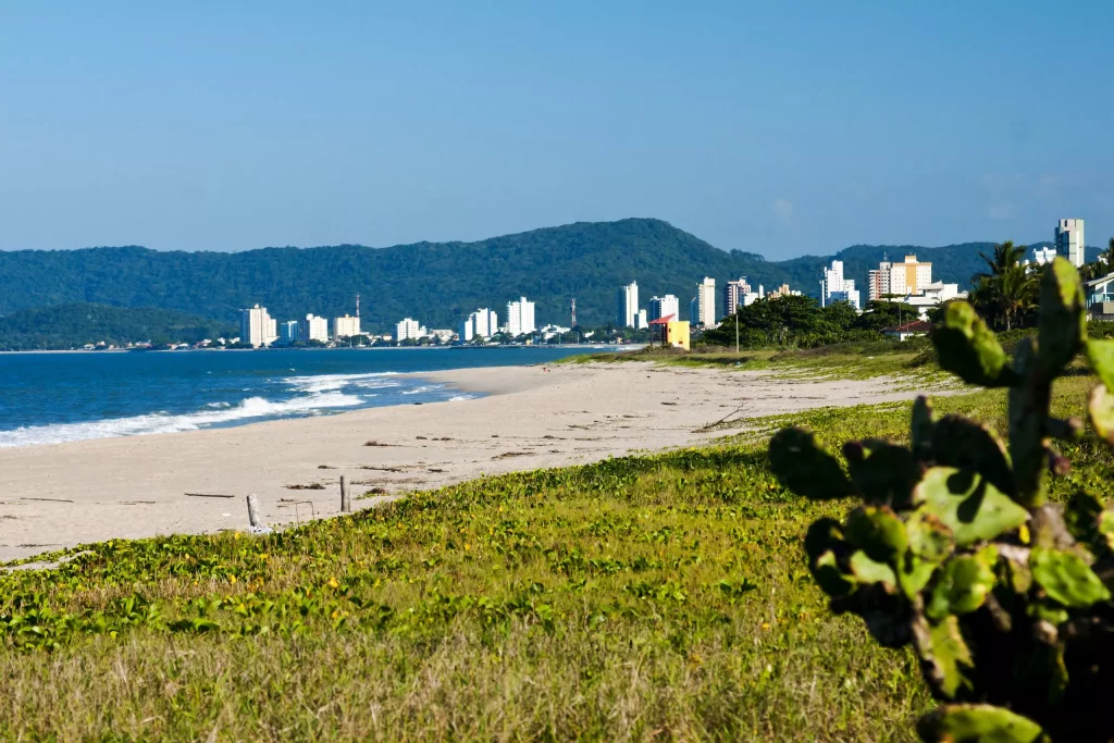 Verão 2024: As Deslumbrantes Praias Catarinenses com Selo Bandeira Azul