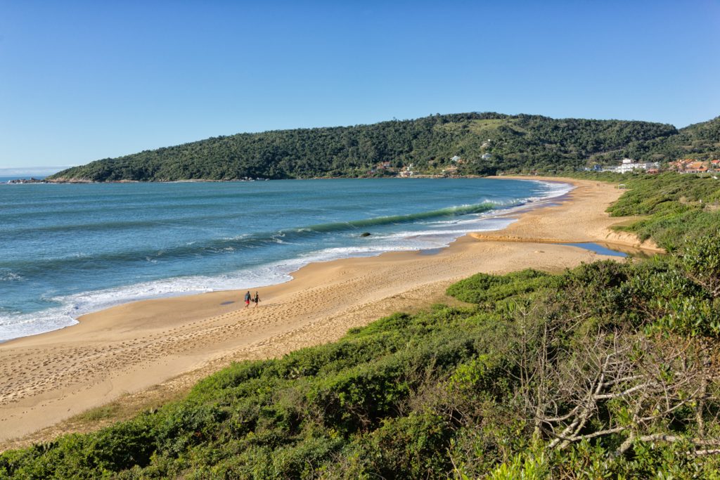 Verão 2024: As Deslumbrantes Praias Catarinenses com Selo Bandeira Azul