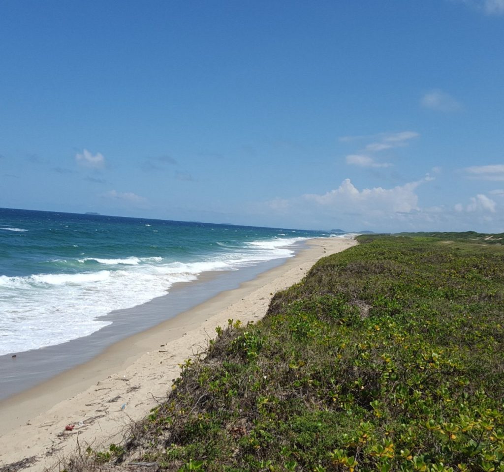 Verão 2024: As Deslumbrantes Praias Catarinenses com Selo Bandeira Azul