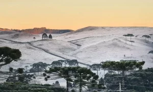 Descubra o Encanto do Inverno no Brasil