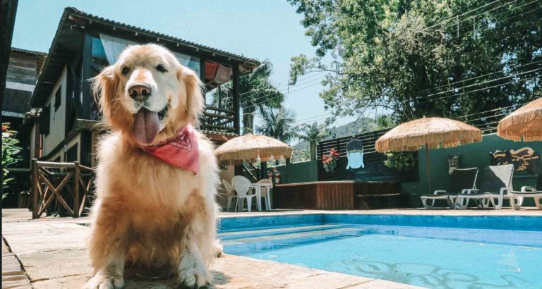 Resorts Pet-friendly