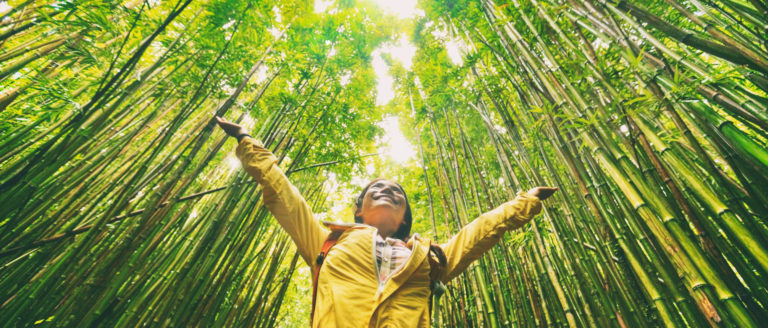 Turismo Sustentável em Florianópolis: Como Contribuir para a Preservação