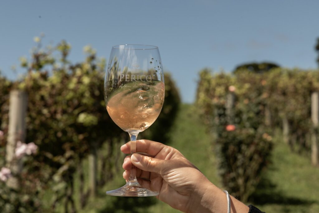 Vinícolas Imperdíveis em Santa Catarina