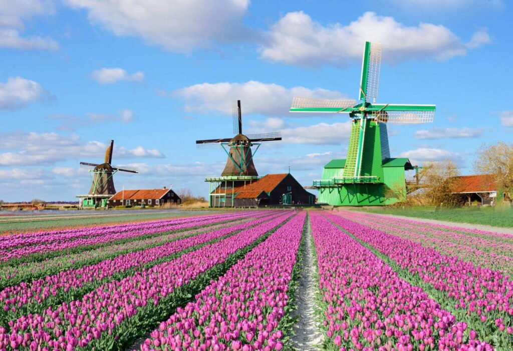 Zaandam, Holanda: Guia Completo da Cidade de Lego